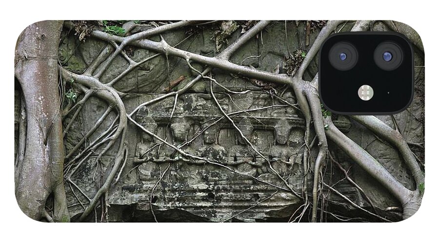Cambodian Culture iPhone 12 Case featuring the photograph Temple Ruins And Roots Of A Spung by Timothy Allen