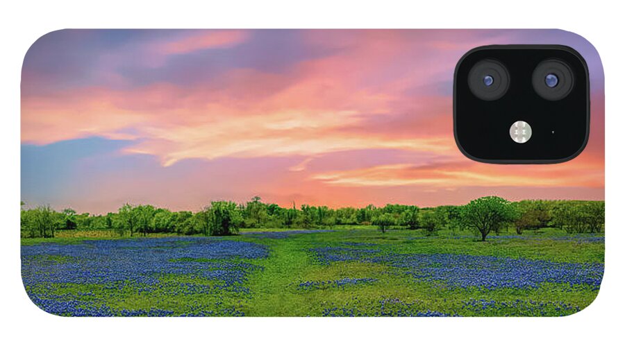  Postcards From Texas iPhone 12 Case featuring the photograph Texas State Flower, Bluebonnets by G Lamar Yancy