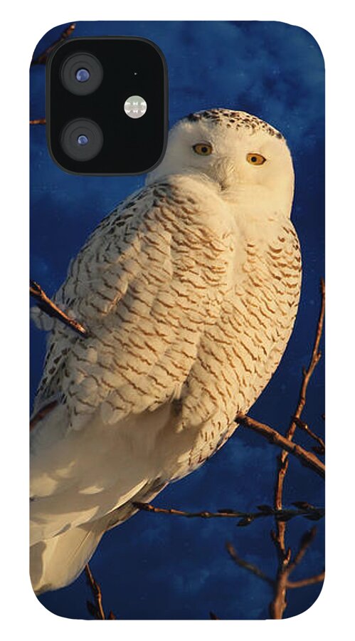 Snowy Owl iPhone 12 Case featuring the digital art The owl and the mystical moon by Heather King