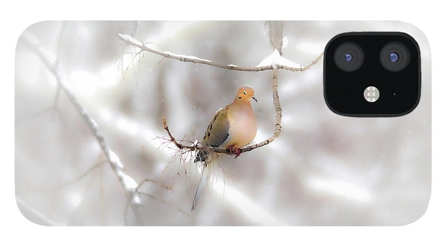 Dove iPhone 12 Case featuring the photograph This Brings Me Peace by Diane Lindon Coy