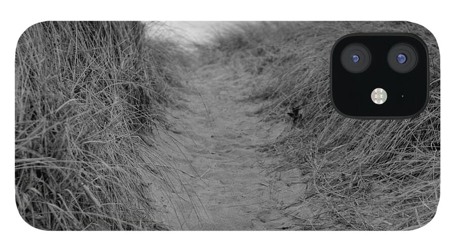 Grass iPhone 12 Case featuring the photograph Trail Through The Sand Dunes by Daniel J. Grenier