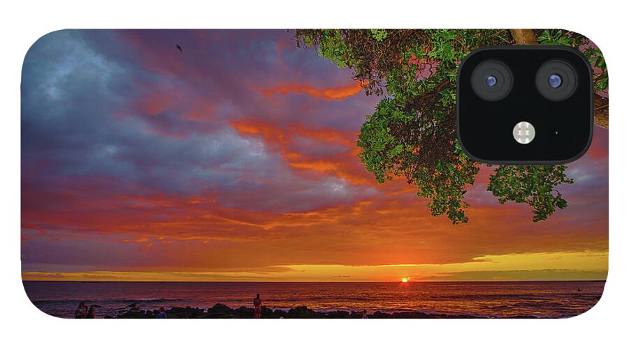 Hawaii iPhone 12 Case featuring the photograph Tree Sea and Sun by John Bauer