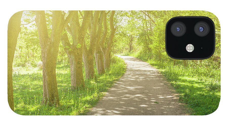 Scenics iPhone 12 Case featuring the photograph Treelined Footpath In The Spring Dutch by Cirano83