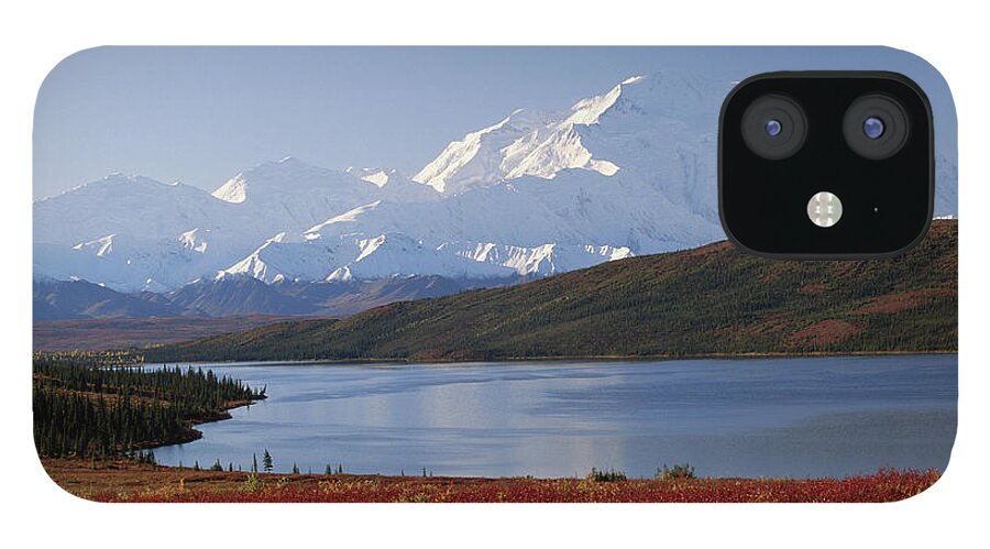 Scenics iPhone 12 Case featuring the photograph Usa, Alaska, Denali National Park, Mt by Art Wolfe