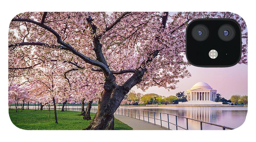 Tidal Basin iPhone 12 Case featuring the photograph Washington Dc Cherry Trees, Footpath by Dszc