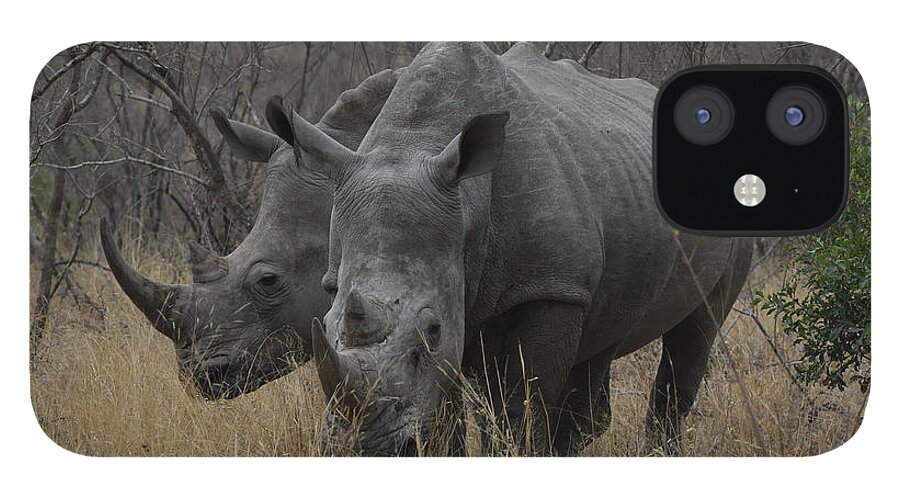 Rhinos iPhone 12 Case featuring the photograph White Rhino Pair by Ben Foster