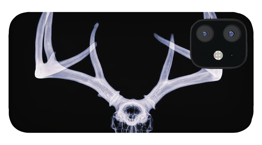 Kansas iPhone 12 Case featuring the photograph White-tailed Deer x-ray 005 by Rob Graham