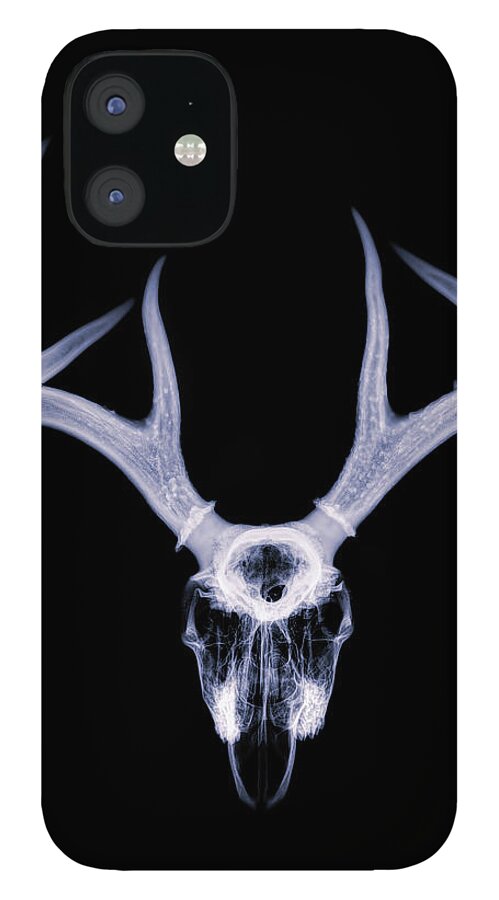 Kansas iPhone 12 Case featuring the photograph White-tailed Deer x-ray 012 by Rob Graham