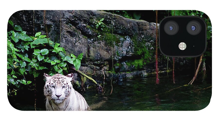 White Tiger iPhone 12 Case featuring the photograph White Tiger by Sundaram D Nishanka . Photo By Nish. Sd Nish