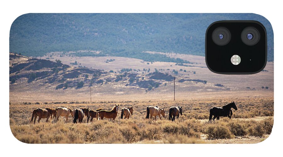 Wild Horses iPhone 12 Case featuring the photograph Wild Horses by Aileen Savage