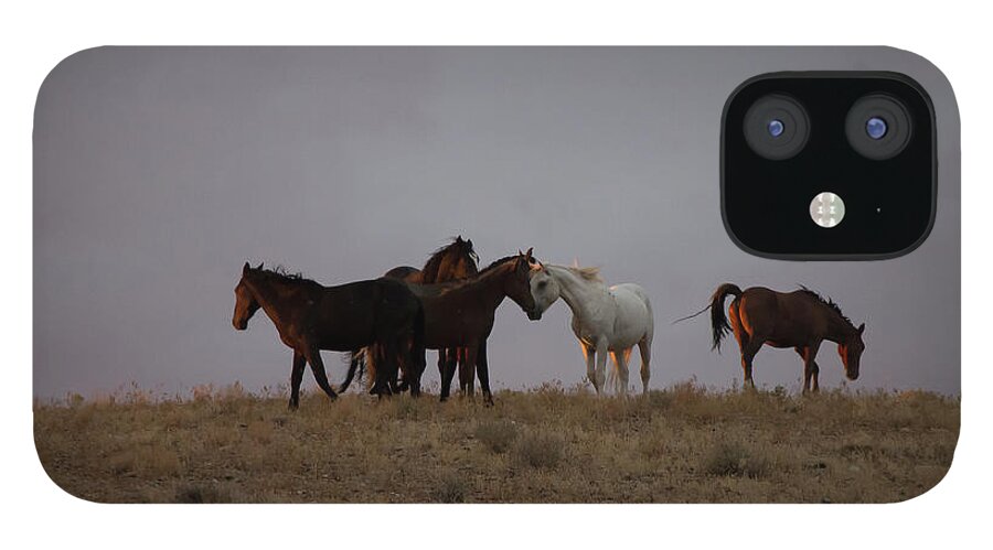 Wild Horse iPhone 12 Case featuring the photograph Wild Horses in Ute Country #2 by Jonathan Thompson