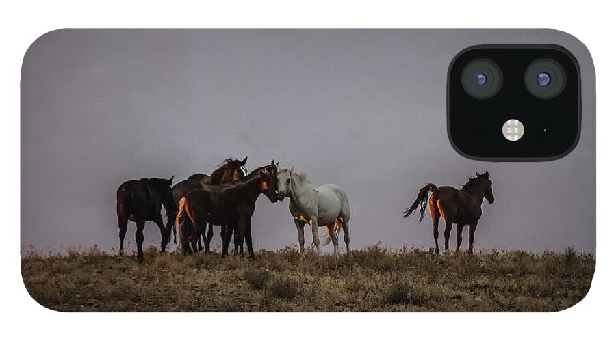 Mustang iPhone 12 Case featuring the photograph Wild Horses in Ute Country #4 by Jonathan Thompson