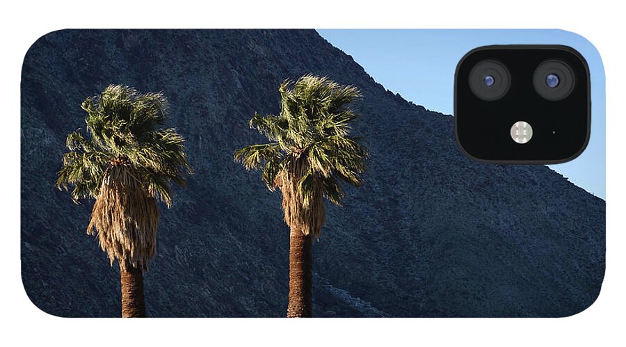 Desert iPhone 12 Case featuring the photograph Wind in the Palms by Jeff Hubbard