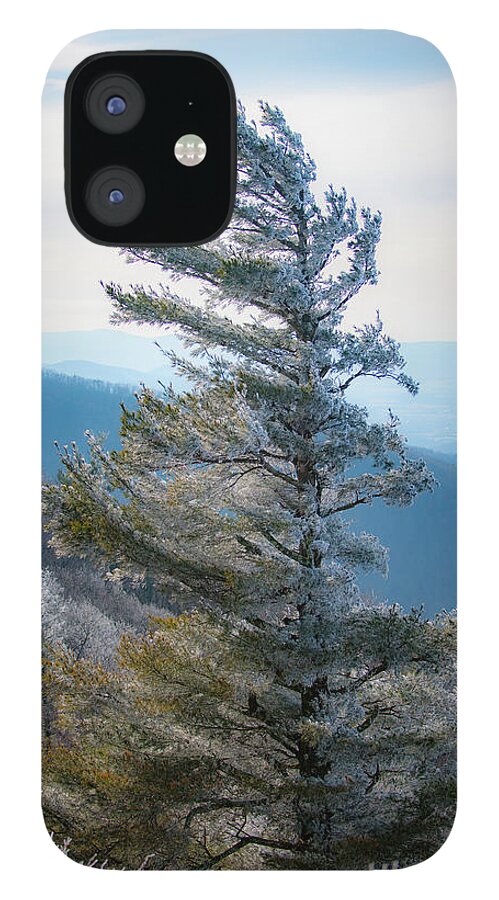 Blue Ridge iPhone 12 Case featuring the photograph Wind Shaped by Mark Duehmig