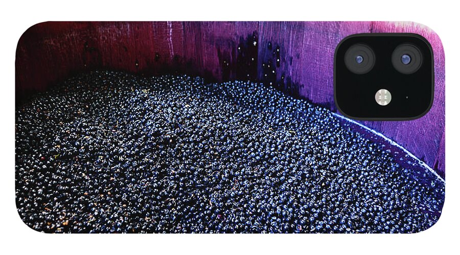 Working iPhone 12 Case featuring the photograph Wine Grapes Ready For Pressing In by Rapideye