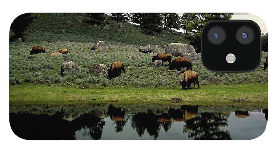 Grass iPhone 12 Case featuring the photograph Yellowstone Views by Image Brought To You Through The Eye Of Andrew Parker
