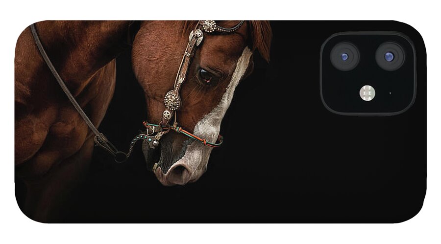 Quarter Horse iPhone 12 Case featuring the photograph Bridled #1 by Ryan Courson