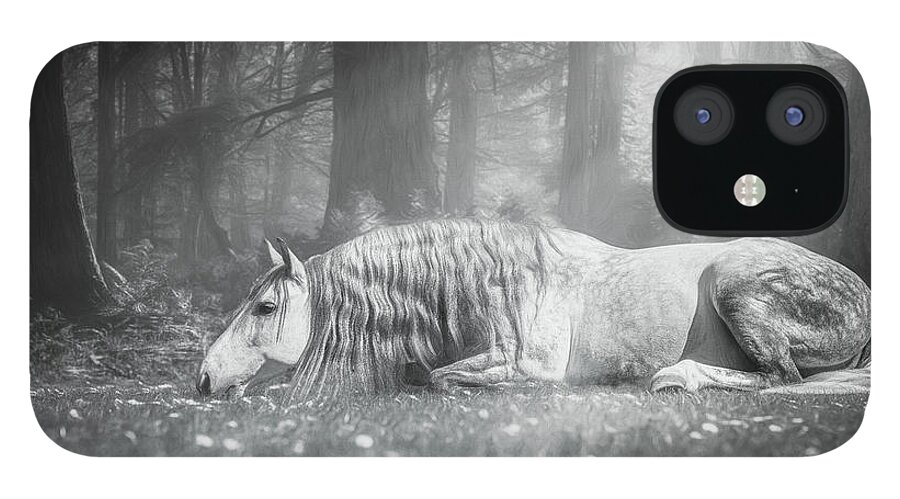 Horse iPhone 12 Case featuring the photograph Dream impossible things #1 by Lisa Saint