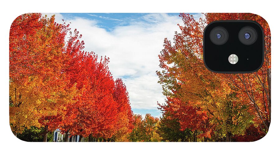 Fall iPhone 12 Case featuring the photograph Fall Colors #1 by Dart Humeston