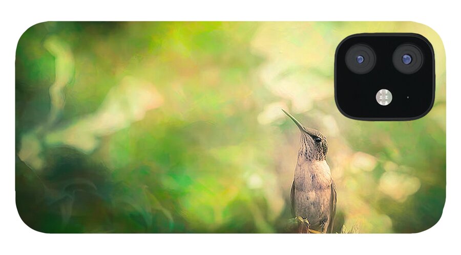 Hummingbird iPhone 12 Case featuring the photograph Hummingbird in Tree #1 by Allin Sorenson