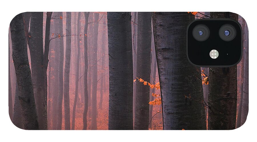 Mountain iPhone 12 Case featuring the photograph Orange Wood #1 by Evgeni Dinev