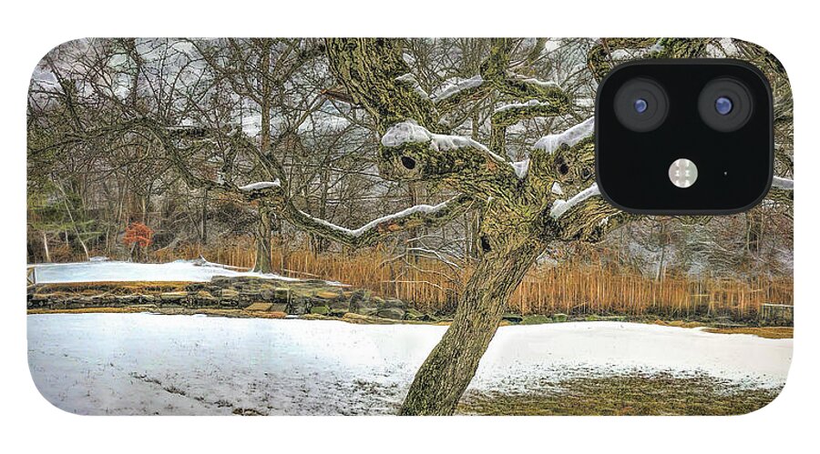 Winter iPhone 12 Case featuring the photograph Tree in the marsh #1 by Cordia Murphy