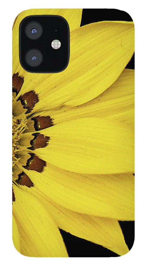 Yellow Flower Black Background iPhone 12 Case featuring the photograph Yellow Flower #4 by David Morehead
