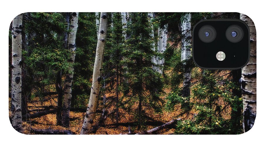Co iPhone 12 Case featuring the photograph Aspen grove, with a golden floor by Doug Wittrock