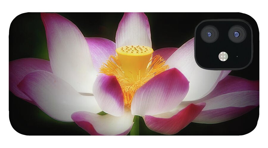 Flower iPhone 12 Case featuring the photograph Lotus #3 by Louise Tanguay