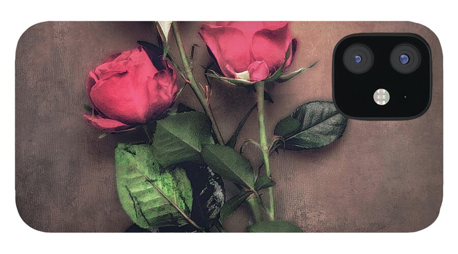 Rose iPhone 12 Case featuring the photograph 3 Roses by Steve Kelley