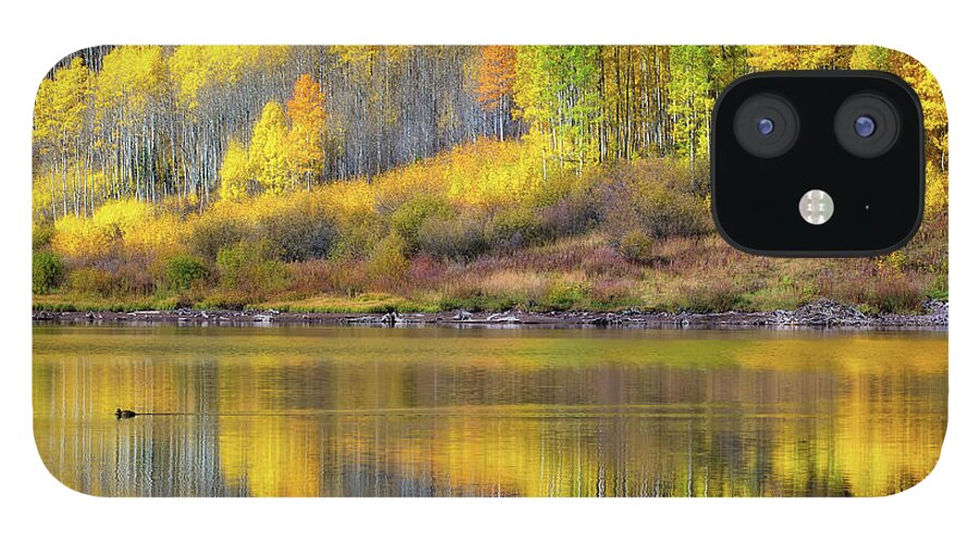 Co iPhone 12 Case featuring the photograph Fall colors, Colorado #5 by Doug Wittrock