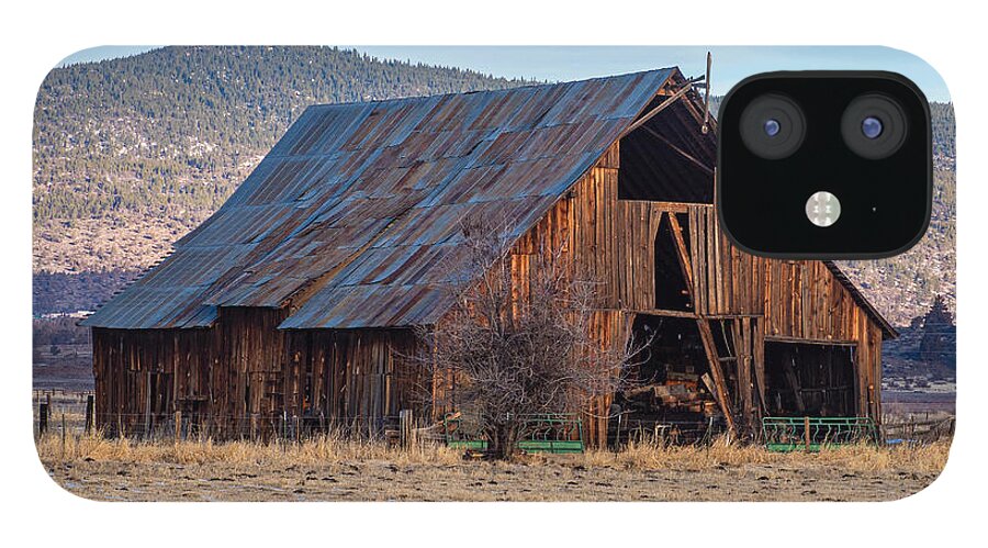 Susanville iPhone 12 Case featuring the photograph A Johnstonville Morning by The Couso Collection