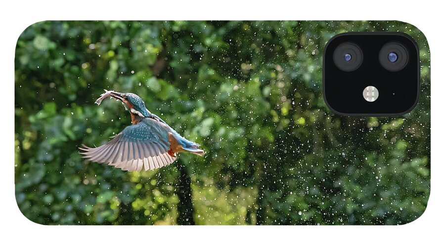 Kingfisher iPhone 12 Case featuring the photograph A Successful Catch by Mark Hunter