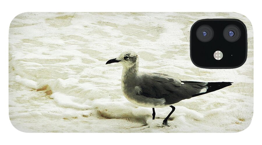 Seagull; Bird; Beach; Sea; Ocean; Key West; Florida; Water; Wave; Waves; Feathers; Vintage; Horizontal; iPhone 12 Case featuring the digital art A Walk in the Surf by Tina Uihlein