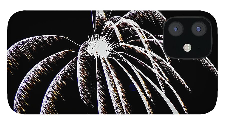 Flower iPhone 12 Case featuring the photograph Abstract Fireworks by Christina McGoran