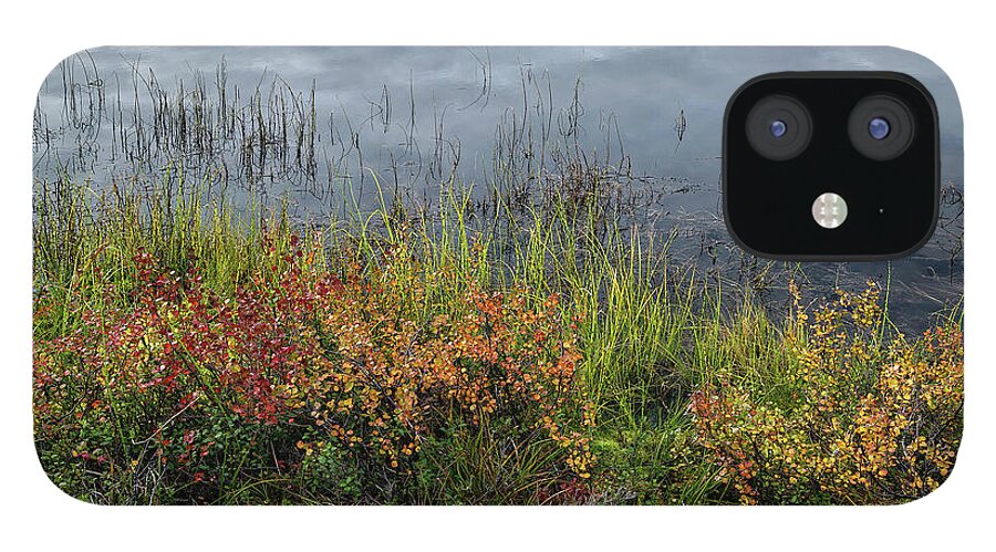 Alaska iPhone 12 Case featuring the photograph Alaska - black pond by Olivier Parent