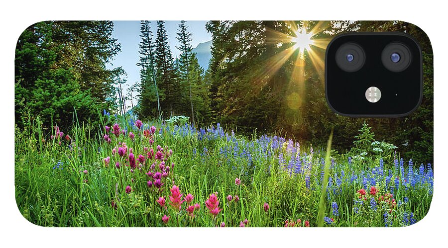 Alta iPhone 12 Case featuring the photograph Alta Sunset and Wildflowers by Bradley Morris