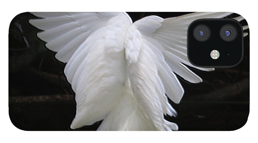 Egret iPhone 12 Case featuring the photograph Angel Wings Egret by Perry Hoffman