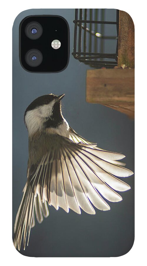 Chickadee iPhone 12 Case featuring the photograph Angelic Wings by Jane Axman