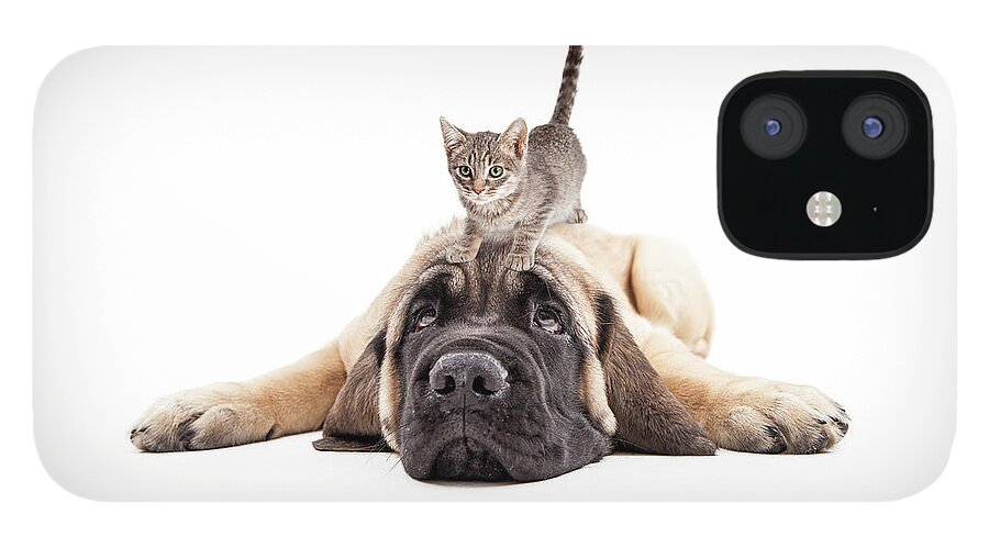 Adorable iPhone 12 Case featuring the photograph Annoyed Mastiff Puupy With Kitten on Head by Good Focused