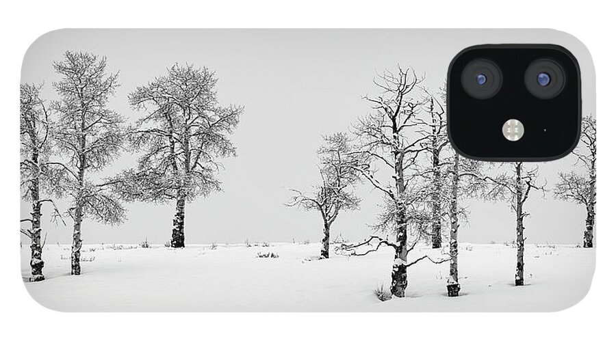 Winter iPhone 12 Case featuring the photograph Aspen Tree Line-up by Denise Bush
