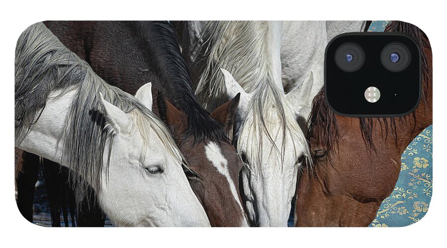 Wild Horses iPhone 12 Case featuring the photograph At the Water Hole by Mary Hone
