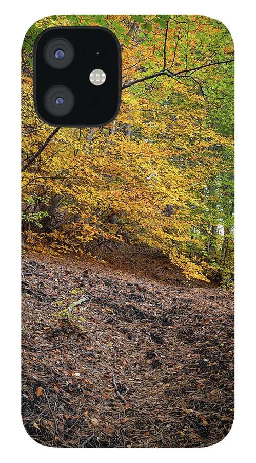 Etna iPhone 12 Case featuring the photograph Autumn colors over volcano Etna by Mirko Chessari