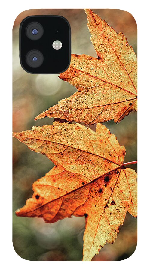 Autumn Leaves Duo iPhone 12 Case featuring the photograph Autumn Leaves Duo by Doolittle Photography and Art