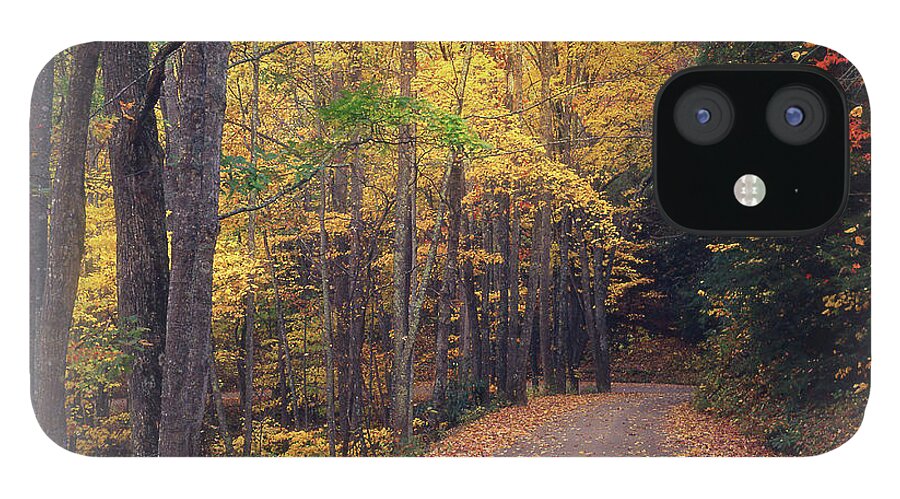 Road iPhone 12 Case featuring the photograph Autumn Road to Cataloochee by James C Richardson