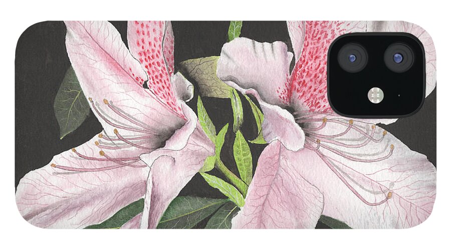Azaleas With Black iPhone 12 Case featuring the painting Azaleas with Black by Bob Labno