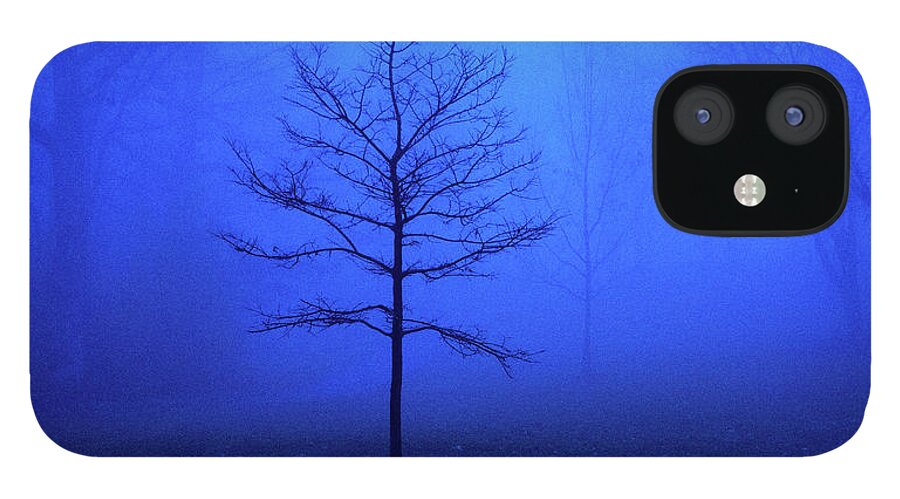 Blue iPhone 12 Case featuring the photograph Bare Tree on a Foggy Morning by David Morehead