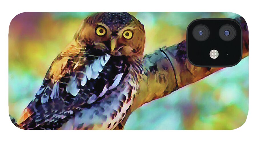 Owl iPhone 12 Case featuring the painting Barred Owlet  by Joel Smith
