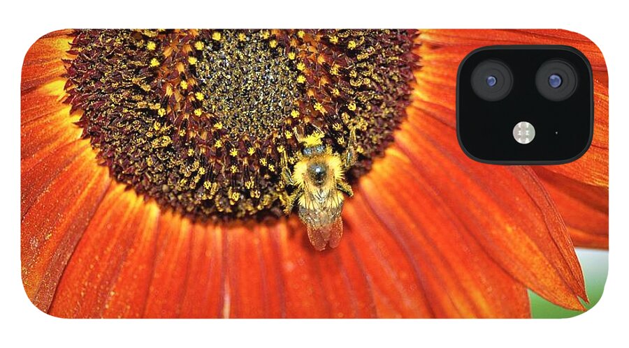 Orange iPhone 12 Case featuring the photograph Bee on Sunflower 5 by James Cousineau