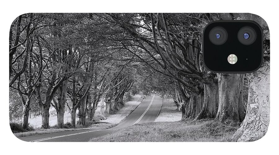 Beech Avenue iPhone 12 Case featuring the photograph Beech Avenue, Kingston Lacey, England, UK by Sarah Howard